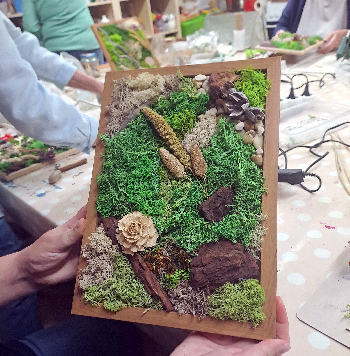 Machové obrazy v ráme